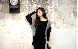 拼色风尚，优雅绽放——2014新款拼色棉连衣裙大码女装赏析